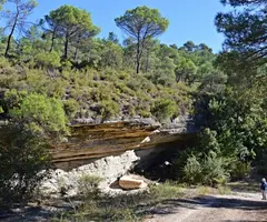 Fotografia de RIERA DE SANT JOAN, BAUMA DE LA (1 de 2)