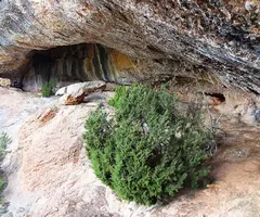 Fotografía de XORIGUER, BALMA DEL (1 de 2)