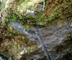 Fotografia de SERRA DEL MAS, AVENC SM-17 DE LA (2 de 5)