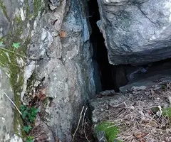Fotografia de SERRA DEL MAS, COVA SM-16 DE LA (2 de 9)