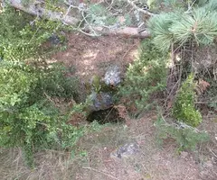 Fotografía de CURSA, AVENC DE LA (1 de 6)