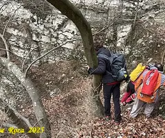 Fotografía de MASSANA, COVA DEL (2 de 9)