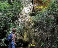 Fotografía de CAL SALA, COVES DE (3 de 6)