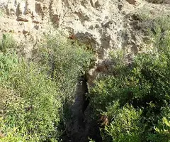 Fotografía de SITGES, COVA DE LES (2 de 9)