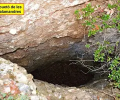 Photographie de SALAMANDRES, POUETÓ DE LES (1 sur 3)