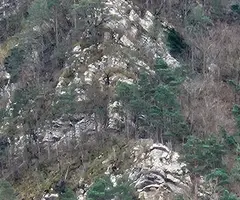 Fotografía de MASSANA, COVA DEL (1 de 9)