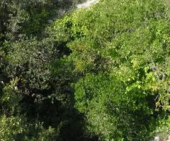 Fotografia de GUSTEMS, AVENC (2 de 3)
