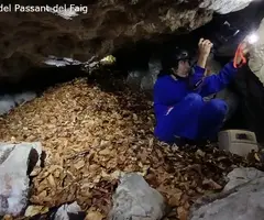 Fotografía de PASSANT DEL FAIG, COVES DEL (9 de 9)