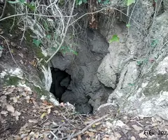 Fotografia de COMA D'EN BEPO, FORAT DE LA (2 de 3)