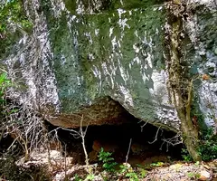 Photograph of TRONASSETA, LA (1 of 4)