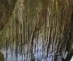 Fotografia de CIM DE L'OBAGA DEL POLLO, COVA-AVENC DEL (2 de 7)