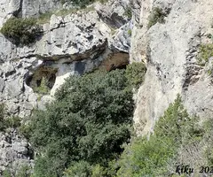 Fotografía de CINGLE DE L'ABELLERA, COVA DEL (1 de 6)