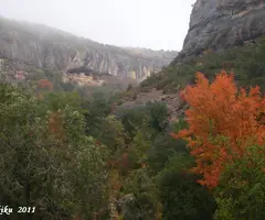 Fotografía de VANSA, COVA DE LA (1 de 6)
