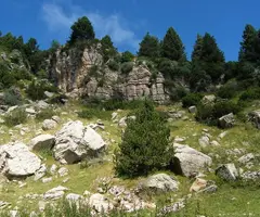 Fotografía de PEDRÓ, BÒFIA DEL (4 de 5)