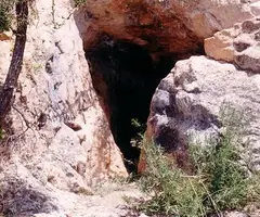 Photograph of BARRANC FONDO, COVA DEL (1 of 1)