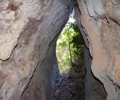Fotografía de CINGLE DELS ÒBITS, COVA DEL (2 de 3)