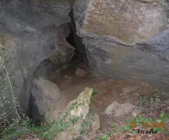 Fotografia de BORRÓ, BORA NÚMERO 3 DEL (2 de 2)