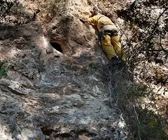 Photographie de SECABECS, GATERA PENJADA DE (1 sur 5)