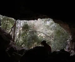 Photographie de GOLERÓ, COVA DEL (2 sur 7)