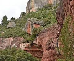 Fotografia de TITI, COVA Nº2 DEL (1 de 4)
