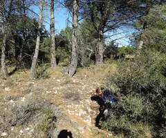 Fotografia de XEROLINA, COVA (1 de 7)