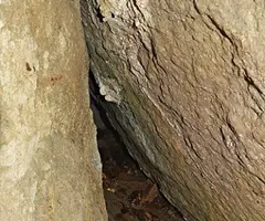 Photographie de PRIMUS, COVA (3 sur 3)