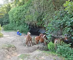 Photographie de MOLÍ VELL, BALMA DEL (4 sur 4)