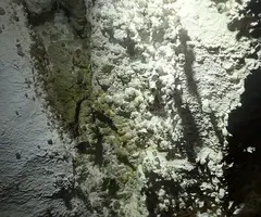 Fotografía de FORAT AMAGAT, COVA (4 de 4)