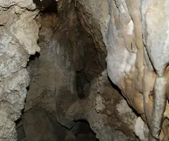 Fotografia de FOSCA DE VILANOVA, COVA (8 de 9)
