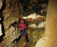 Fotografia de FECUNDITAT, AVENC DE LA (6 de 9)