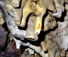 Fotografia de FOSCA DE VILANOVA, COVA (4 de 9)