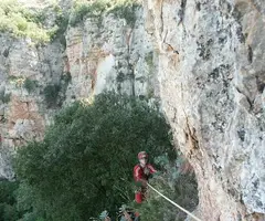 Fotografía de MU, COVES DEL (6 de 11)