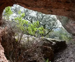 Fotografia de GRAONS DE MURA, BALMA DELS (3 de 3)