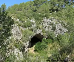 Fotografía de CAN MUNTANER, COVA DE (2 de 4)