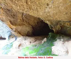 Photographie de FALCIOTS, BALMA DELS (3 sur 5)