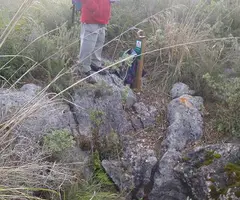 Fotografía de PENYA GINESTA, AVENC DE (2 de 3)