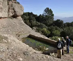 Photograph of ÒBITS, ELS (6 of 6)