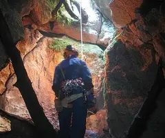 Fotografia de RACONADA, BÒFIA DE LA (3 de 3)