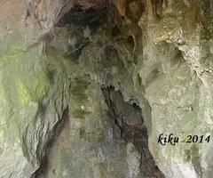 Fotografia de CAMBROT, COVA DEL (6 de 6)