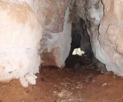 Fotografía de LLUNA, COVA DE LA (3 de 4)