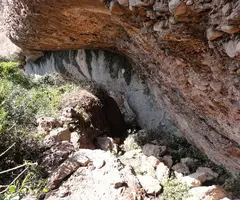 Fotografia de SOT DE LA CARDA, BALMA DEL (2 de 2)