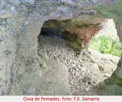 Photographie de FEMADES, COVA DE LES (3 sur 4)