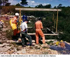 Fotografia de ALZINES, AVENC GRAN DE LES (7 de 7)