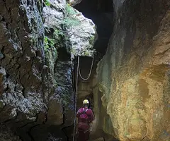 Fotografia de PARDINA, GRALLER Nº2 DE LA (5 de 9)