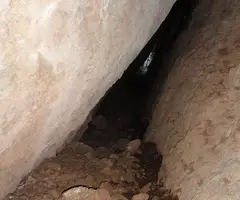 Fotografía de SARGANTANA, COVA DE LA (2 de 2)