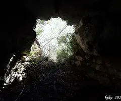 Photograph of GAT CENDRER, FORAT DEL (8 of 8)