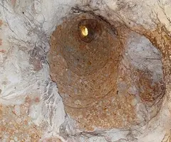 Fotografia de MAS DE LA LLANA, COVA DEL (4 de 5)