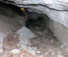 Fotografia de TRONASSA DE LA TOR, LA (5 de 6)