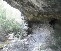 Fotografia de BARCA, COVA DE LA (3 de 3)