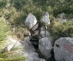 Fotografia de BLUGH'S, AVENC D'EN (2 de 3)